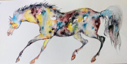 Appaloosa Horse running Daniela Vasileva