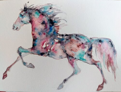Appaloosa Horse running par Daniela Vasileva, Œuvre sur papier en vente sur Singulart