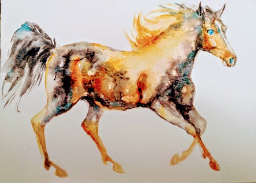 Golden Appaloosa Horse running van Daniela Vasileva, Werk op papier te koop op Singulart