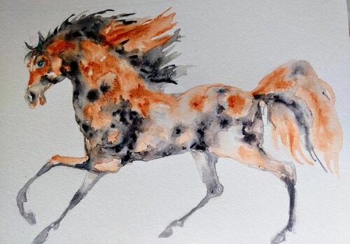 Horse running Daniela Vasileva