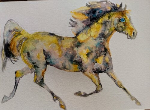 Golden Appaloosa Horse running par Daniela Vasileva, Œuvre sur papier en vente sur Singulart