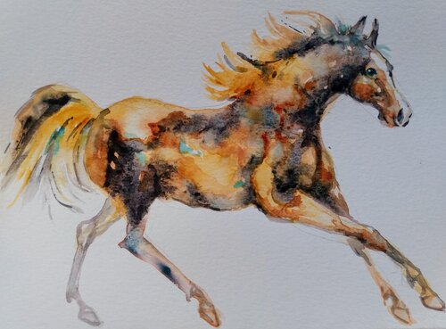 Golden Appaloosa Horse running Daniela Vasileva