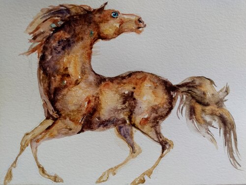 Golden Appaloosa Horse running Daniela Vasileva