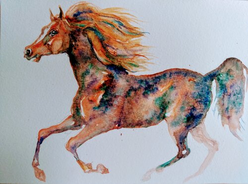 Golden Appaloosa Horse running di Daniela Vasileva, Opera su carta in vendita su Singulart