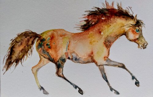 Golden Appaloosa Horse running di Daniela Vasileva, Opera su carta in vendita su Singulart