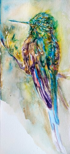 Colorful  hummingbird van Daniela Vasileva, Werk op papier te koop op Singulart