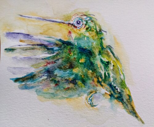 Colorful  hummingbird di Daniela Vasileva, Opera su carta in vendita su Singulart
