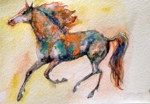 Appaloosa Horse running di Daniela Vasileva, Opera su carta in vendita su Singulart