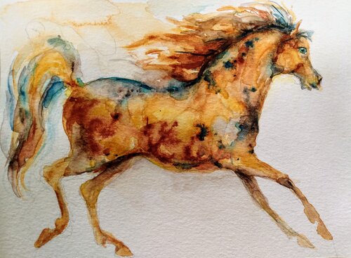 Golden Appaloosa Horse running di Daniela Vasileva, Opera su carta in vendita su Singulart
