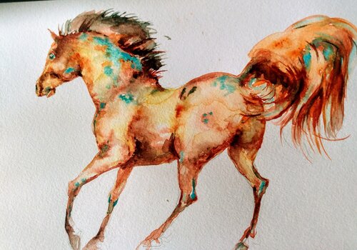 Golden Appaloosa Horse running Daniela Vasileva