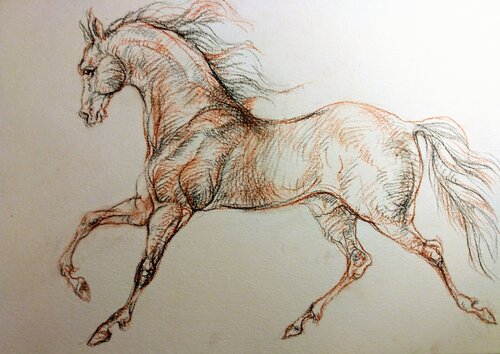 Horse drawing di Daniela Vasileva, Disegno in vendita su Singulart