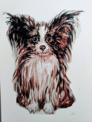 Papillon puppy black and white par Daniela Vasileva, Œuvre sur papier en vente sur Singulart