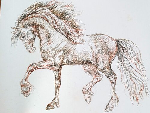 Horse running. Black and white by Daniela Vasileva, 종이 for Sale on Singulart