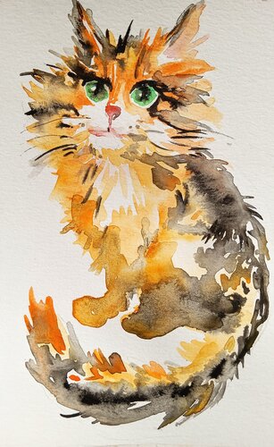 Calico Maine Coon kitten di Daniela Vasileva, Opera su carta in vendita su Singulart