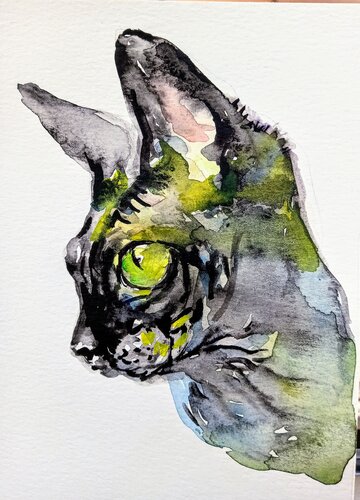 Black sphinx cat 2 van Daniela Vasileva, Werk op papier te koop op Singulart