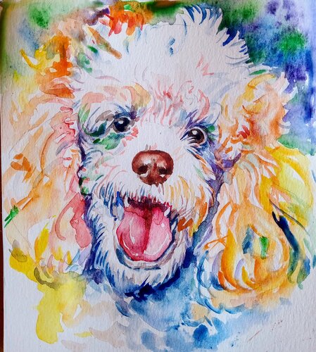 Colorful poodle dog art par Daniela Vasileva, Peinture en vente sur Singulart