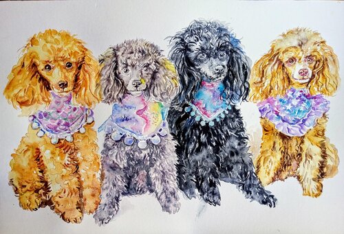 Four poodles Daniela Vasileva