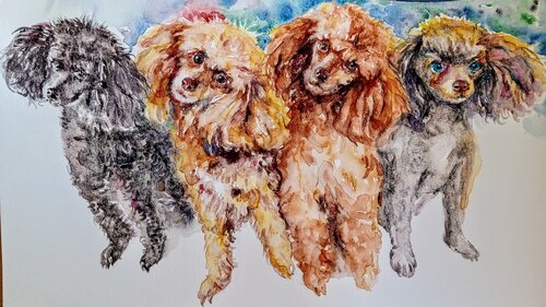 Four toy poodle puppies par Daniela Vasileva, Peinture en vente sur Singulart