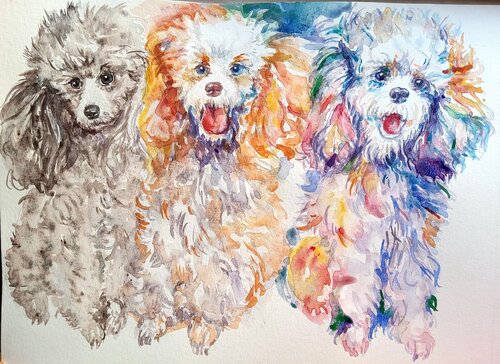 Three colorful toy poodles von Daniela Vasileva, Malerei kaufen auf Singulart