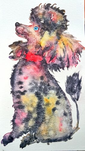 Poodle puppy dog waiting for a treat di Daniela Vasileva, Pittura in vendita su Singulart