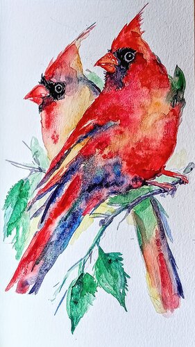 A couple of Red Christmas cardinals von Daniela Vasileva, Malerei kaufen auf Singulart