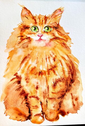 Orange tabby Maine coon kitten van Daniela Vasileva, Schilderij te koop op Singulart