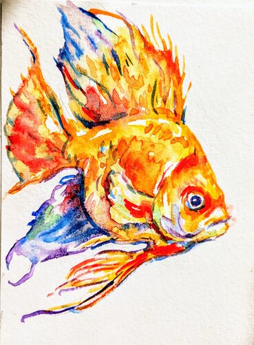 Goldfish di Daniela Vasileva, Pittura in vendita su Singulart