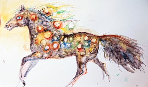 Appaloosa horse running di Daniela Vasileva, Opera su carta in vendita su Singulart