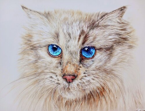 Azure enchantments in Cat's Eyes di Daniela Vasileva, Opera su carta in vendita su Singulart