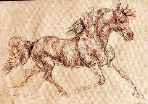 Horse running art di Daniela Vasileva, Disegno in vendita su Singulart