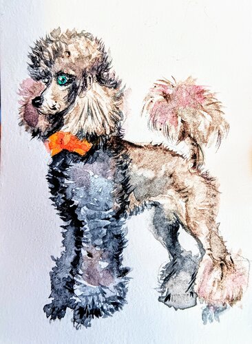 Gray  poodle glamour by Daniela Vasileva, Painting for Sale on Singulart