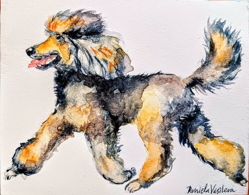 Poodle running par Daniela Vasileva, Peinture en vente sur Singulart