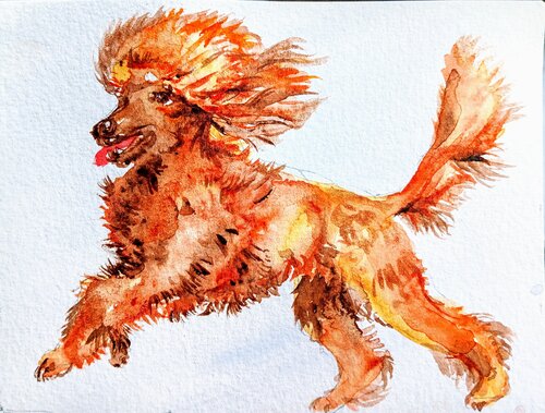 Poodle playing par Daniela Vasileva, Peinture en vente sur Singulart