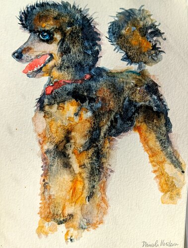 Phantom poodle di Daniela Vasileva, Opera su carta in vendita su Singulart