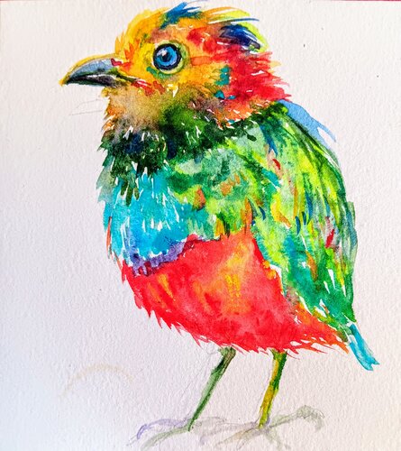 Paradise plume mosaic.  Bird by Daniela Vasileva, Painting for Sale on Singulart