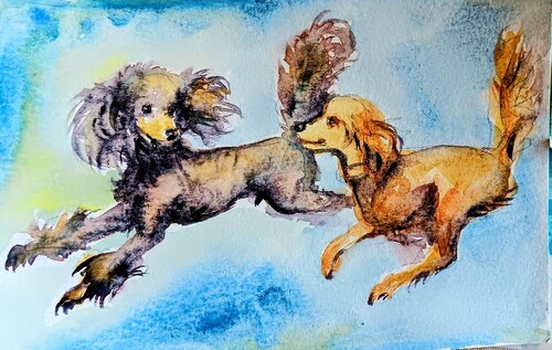 Poodles playing von Daniela Vasileva, Malerei kaufen auf Singulart