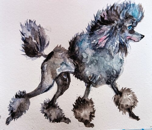 Black poodle dog art di Daniela Vasileva, Pittura in vendita su Singulart