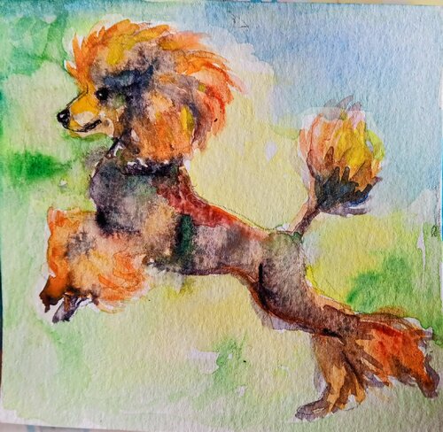Dancing peach poodle dog art van Daniela Vasileva, Schilderij te koop op Singulart
