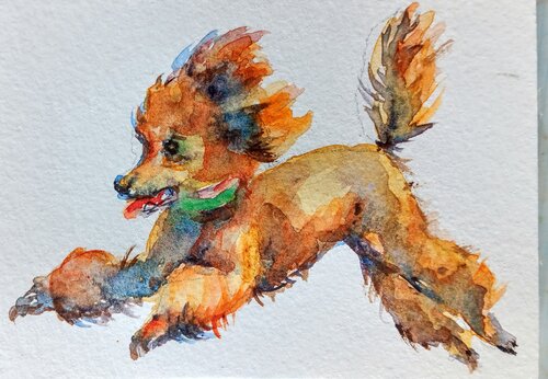 Dancing poodle dog art di Daniela Vasileva, Pittura in vendita su Singulart