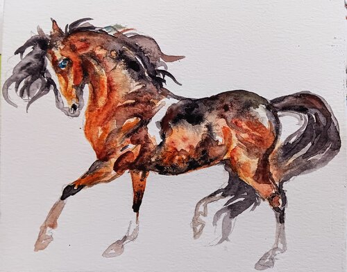 Painted Horse in motion van Daniela Vasileva, Schilderij te koop op Singulart