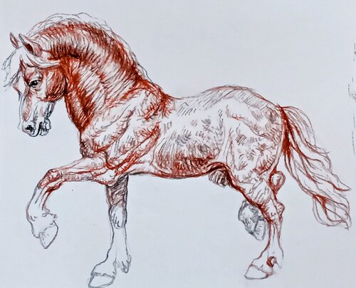 Dappled Horse in motion von Daniela Vasileva, Zeichnungen kaufen auf Singulart