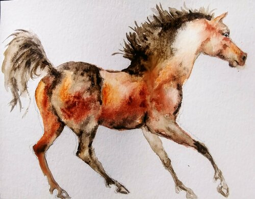 Horse running Daniela Vasileva
