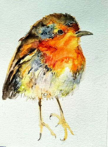 Colorful bird Robin di Daniela Vasileva, Opera su carta in vendita su Singulart