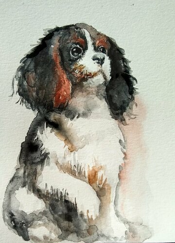 Cavalier King Charles spaniel puppy by Daniela Vasileva, Work on Paper for Sale on Singulart