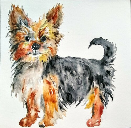 Yorkshire terrier puppy di Daniela Vasileva, Pittura in vendita su Singulart