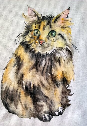 Calico Kitten di Daniela Vasileva, Opera su carta in vendita su Singulart