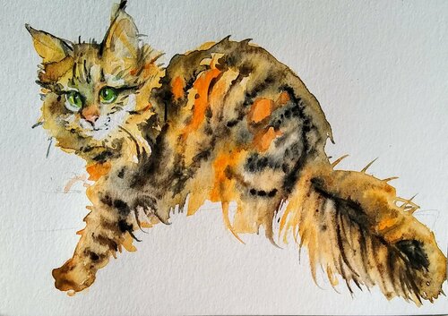 Maine coon ragamuffin kitty par Daniela Vasileva, Œuvre sur papier en vente sur Singulart