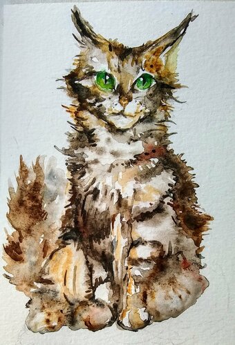 Maine coon tabby  kitty by Daniela Vasileva, Work on Paper for Sale on Singulart