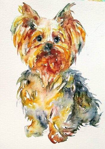 Yorkshire terrier puppy di Daniela Vasileva, Opera su carta in vendita su Singulart
