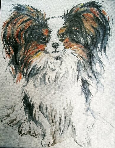 Papillon puppy di Daniela Vasileva, Opera su carta in vendita su Singulart